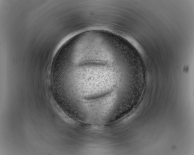 X0000092021052200709201548