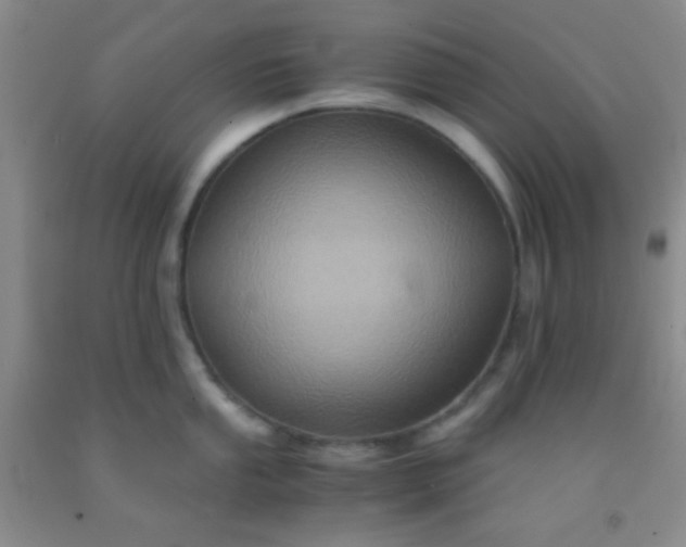 X0000092021053200709201548