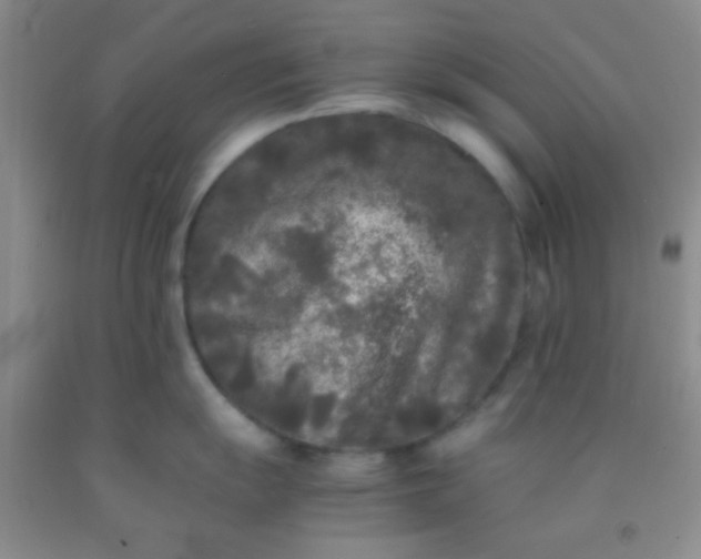 X0000092021055200709201548