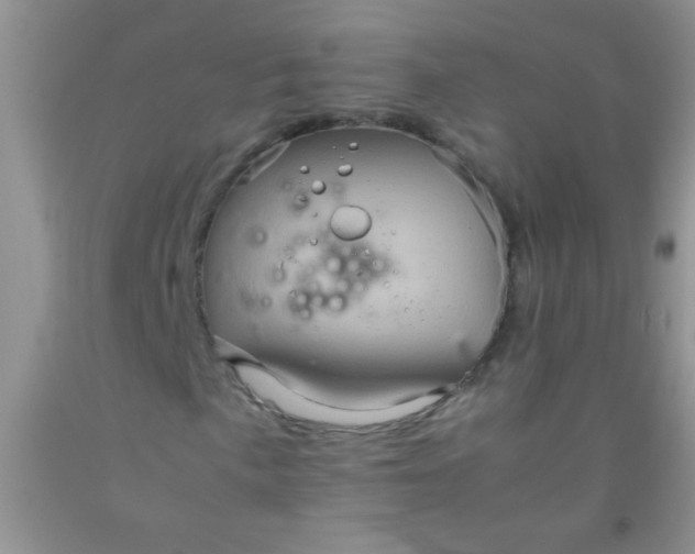 X0000092021057200709201547