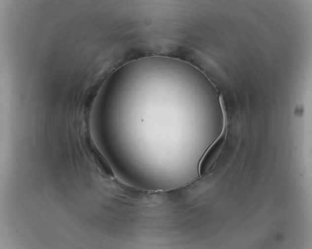 X0000092021058200709201547