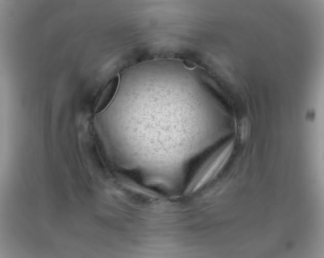 X0000092021059200709201547