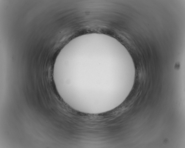 X0000092021060200709201547