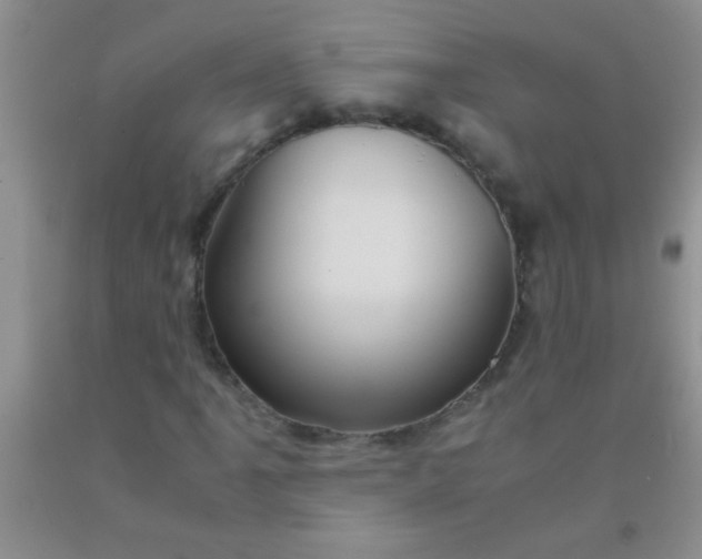 X0000092021061200709201547