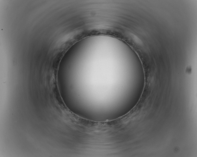 X0000092021062200709201547