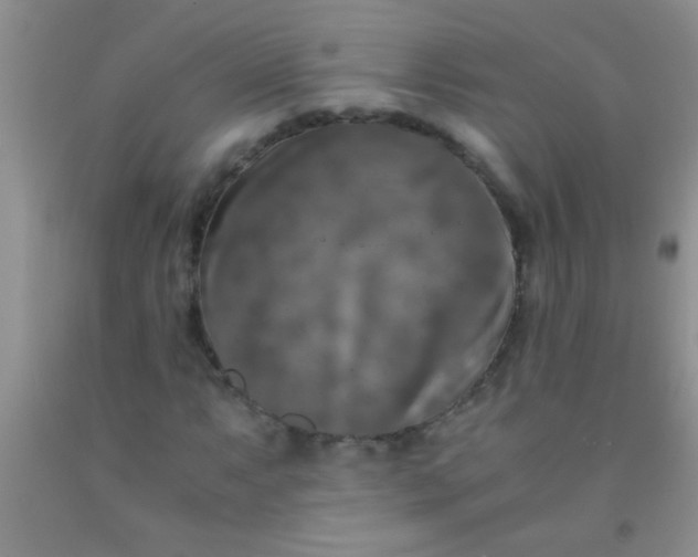 X0000092021063200709201547