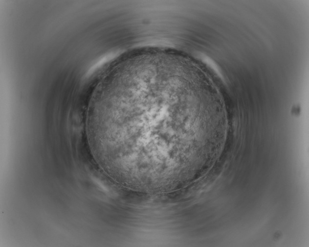 X0000092021064200709201547