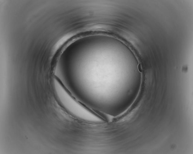 X0000092021066200709201547