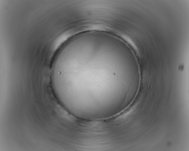 X0000092021067200709201547