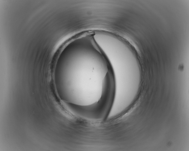 X0000092021069200709201547