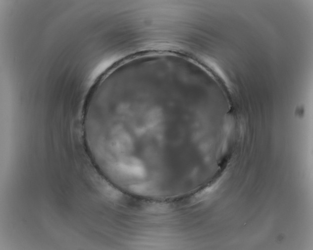 X0000092021071200709201547