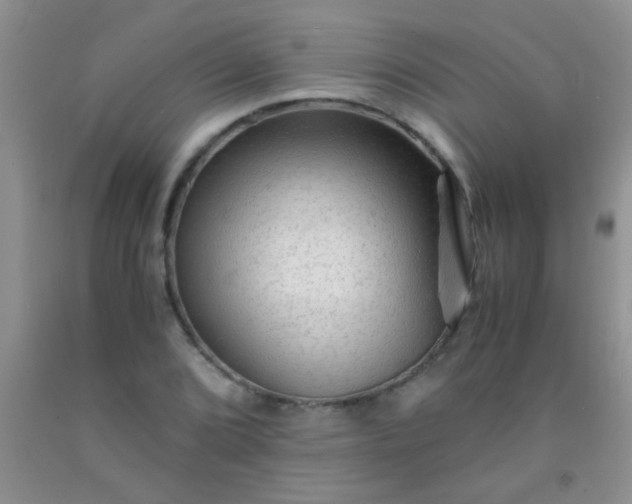 X0000092021072200709201547