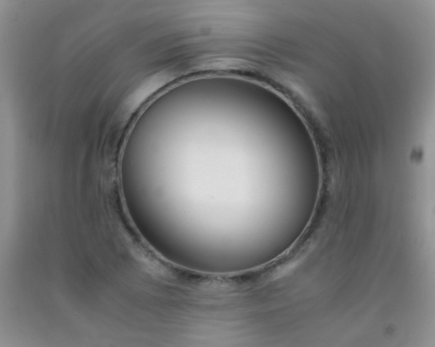 X0000092021073200709201547