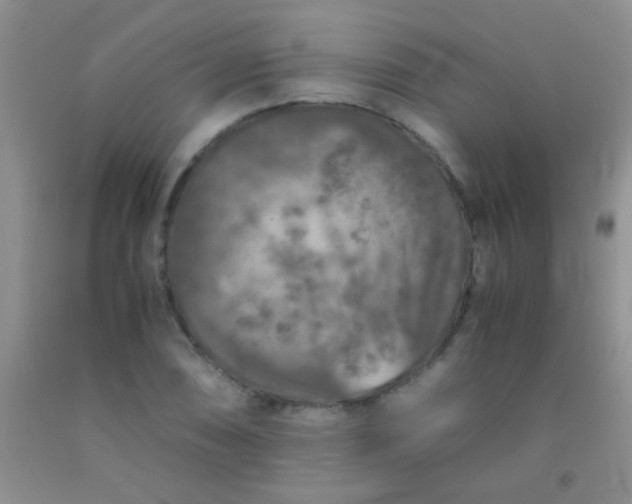 X0000092021074200709201547