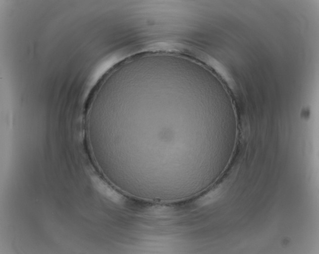 X0000092021075200709201547