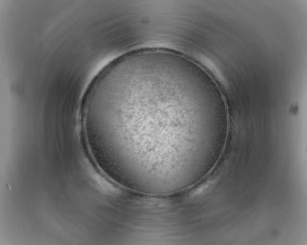 X0000092021076200709201547