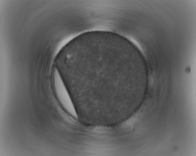 X0000092021077200709201547