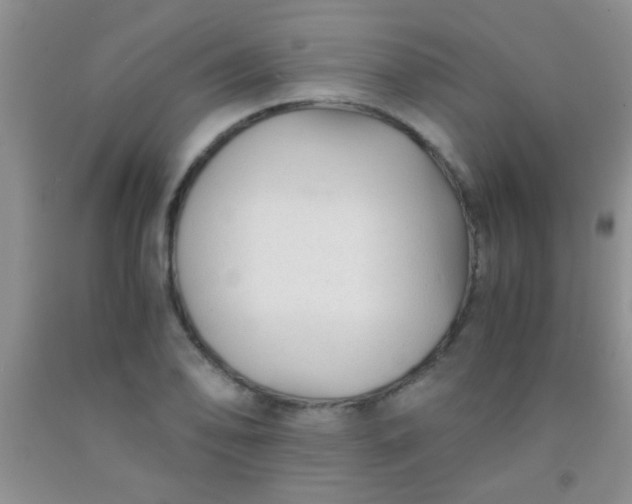 X0000092021078200709201547