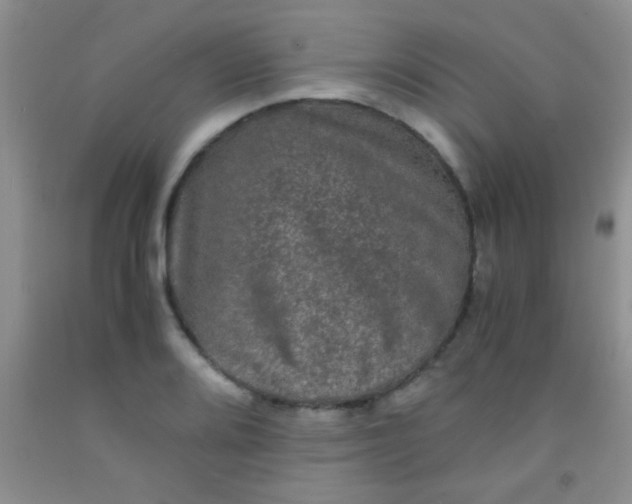 X0000092021080200709201547