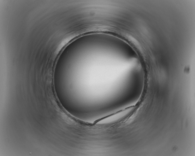 X0000092021081200709201547