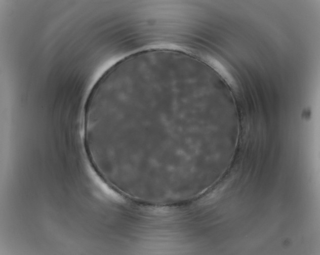 X0000092021084200709201547