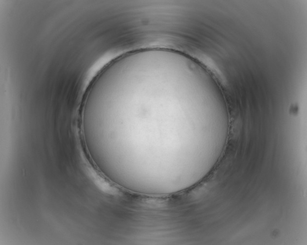 X0000092021086200709201547