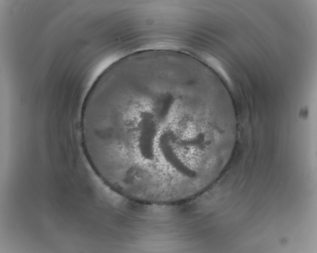 X0000092021087200709201547