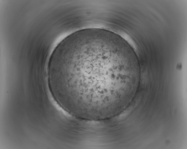 X0000092021088200709201547