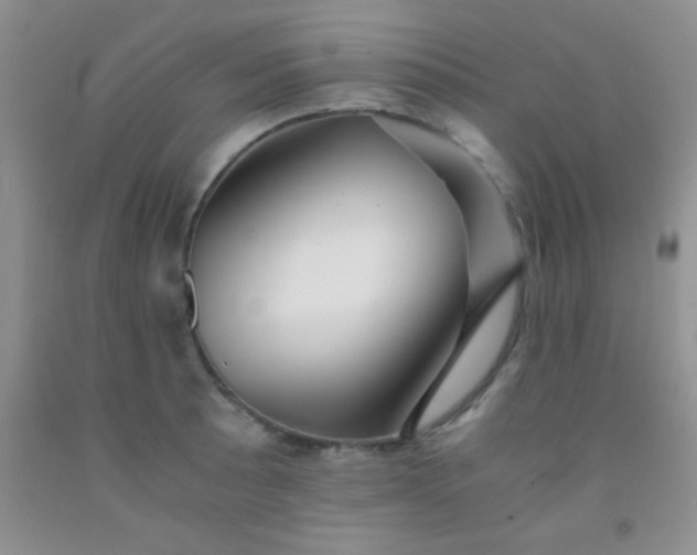 X0000092021089200709201547