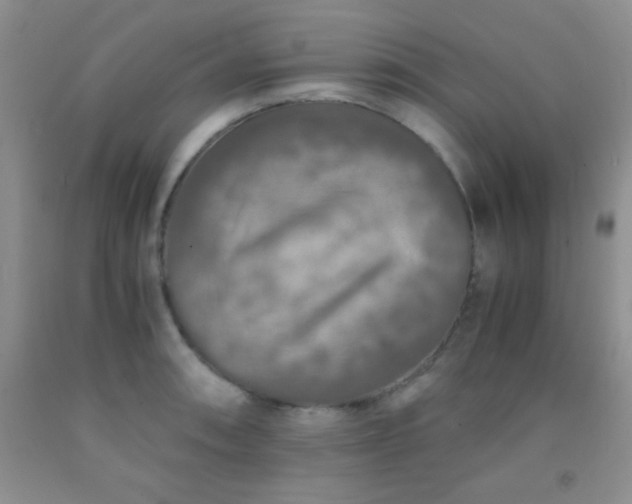 X0000092021090200709201547