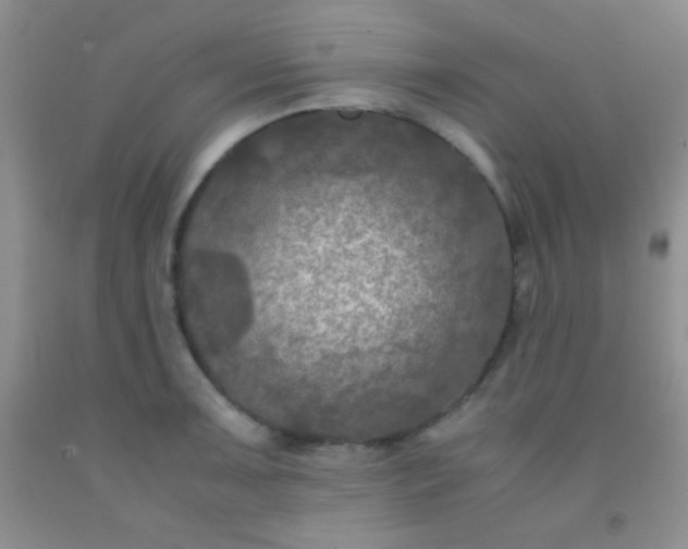 X0000092021091200709201547