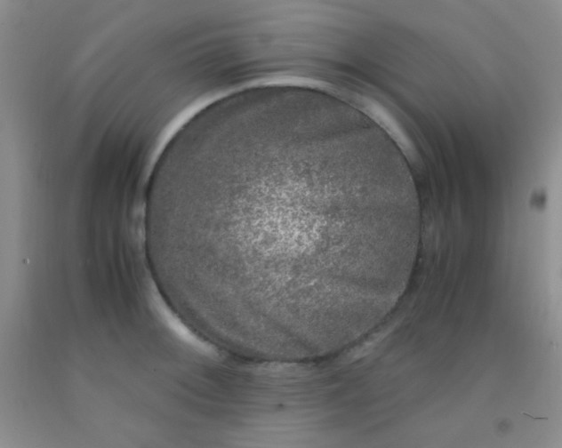 X0000092021092200709201547