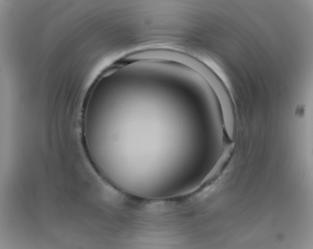 X0000092021093200709201547