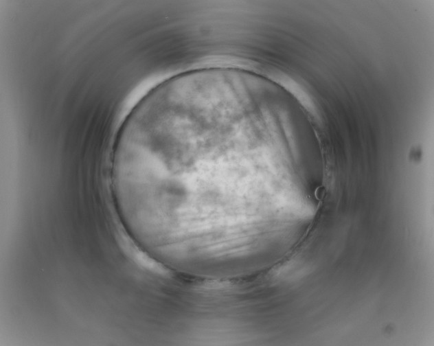 X0000092021094200709201547