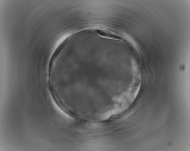 X0000092021095200709201547