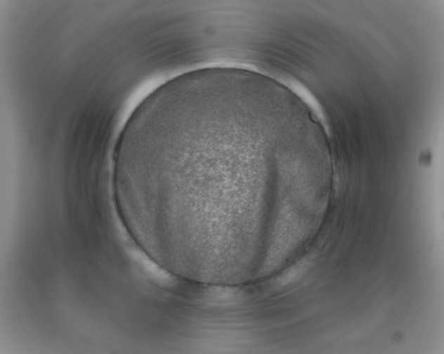 X0000092021096200709201547