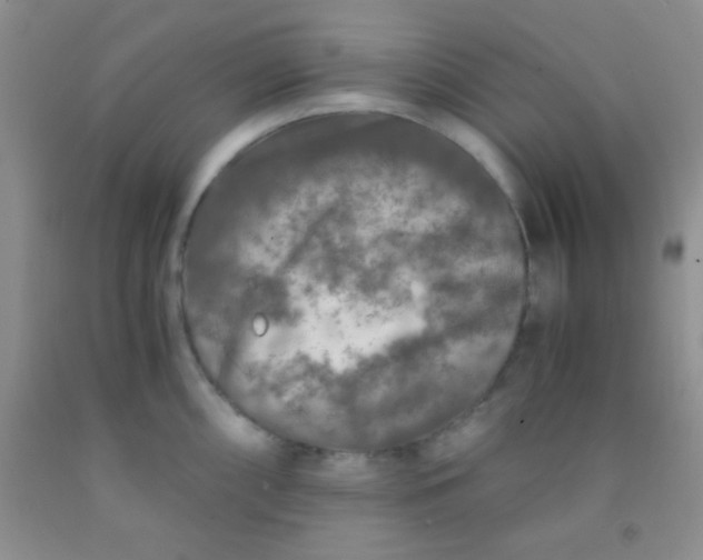 X0000092021098200709201547