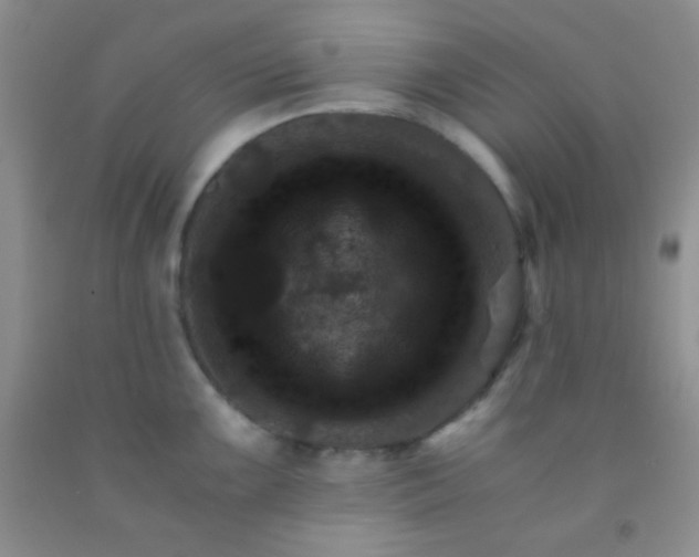 X0000092021099200709201547