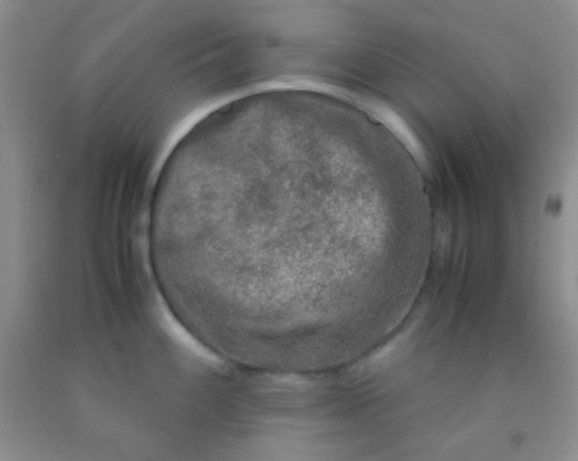 X0000092021100200709201547