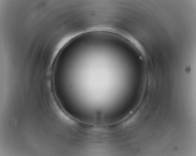 X0000092021102200709201547