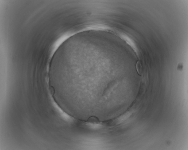 X0000092021103200709201546