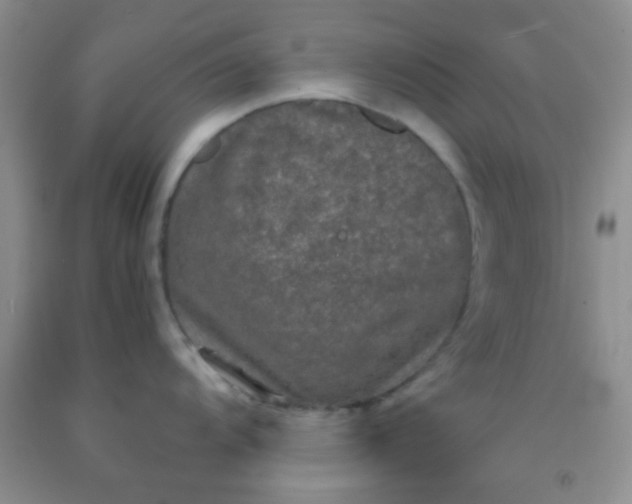 X0000092021104200709201546