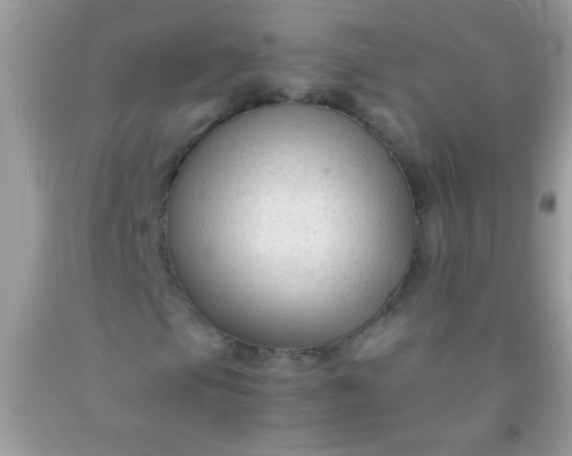 X0000092021105200709201546