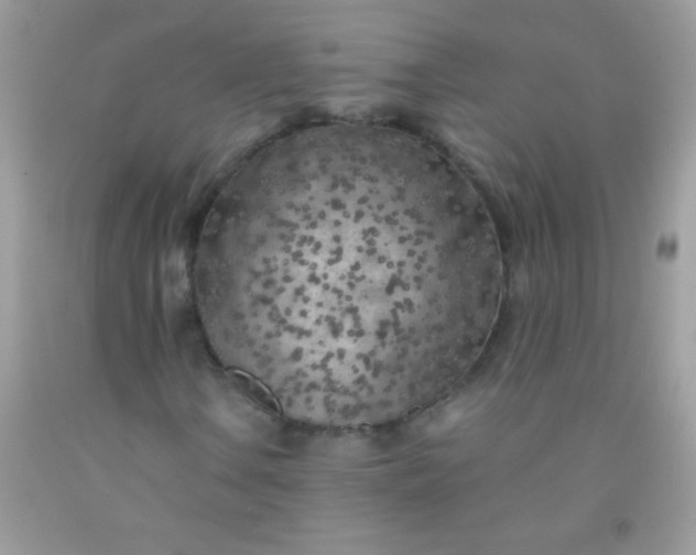 X0000092021106200709201546