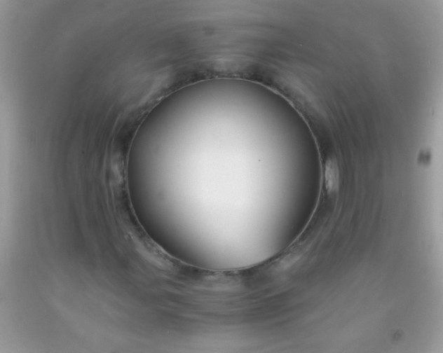 X0000092021107200709201546