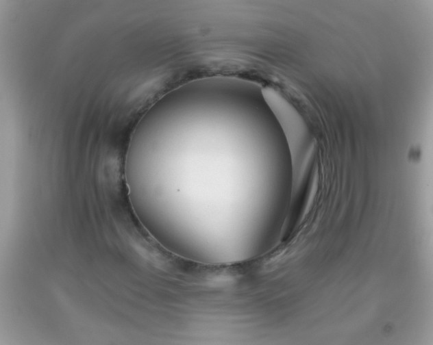 X0000092021108200709201546