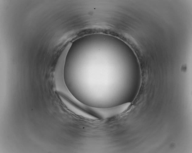 X0000092021110200709201546