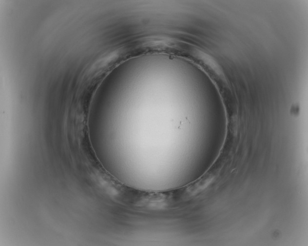 X0000092021111200709201546