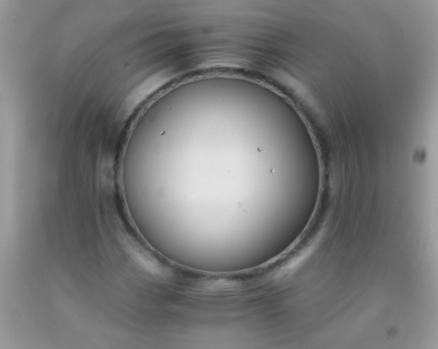 X0000092021113200709201546