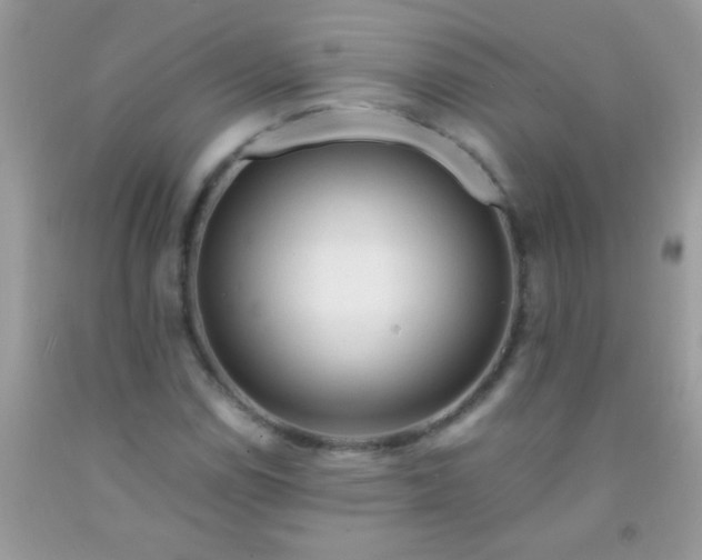 X0000092021114200709201546